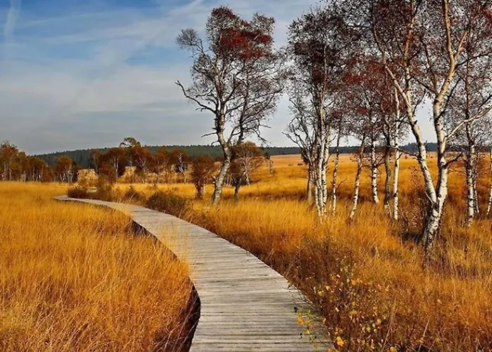 Le Tiyou Dom wakacyjny *